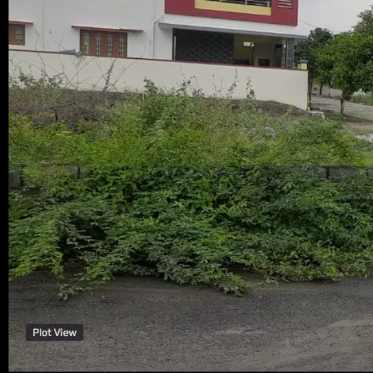plot for sale