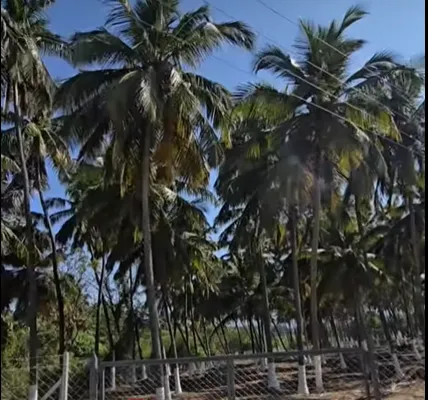 Land for Sale