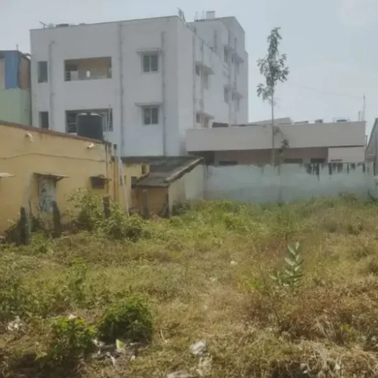 site for sale