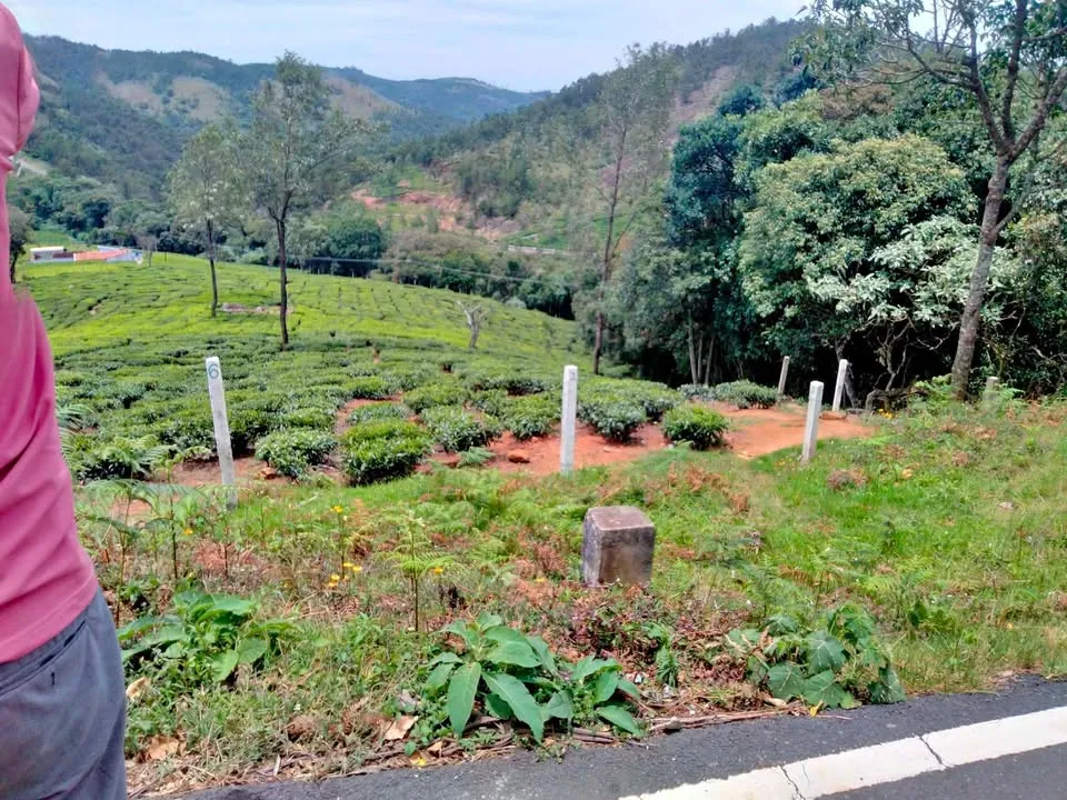 10 acre Plot