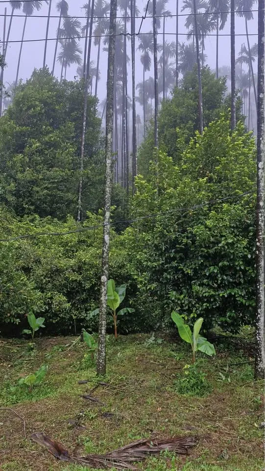 4 acre Plot