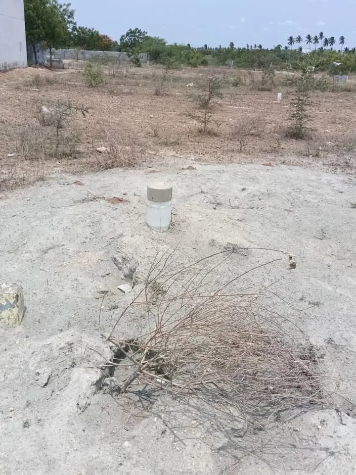 2.15 cent Plot