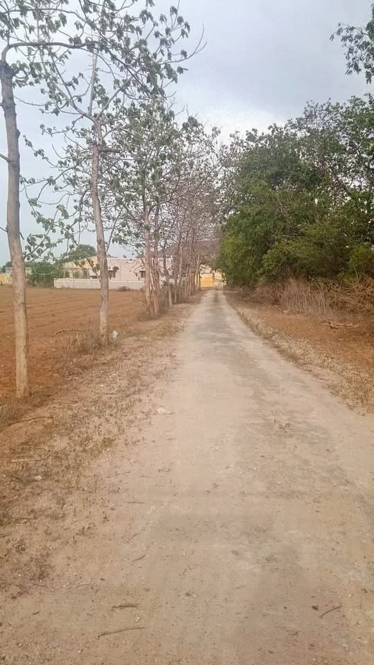 19 acre Plot