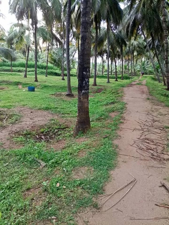 3 acre Plot