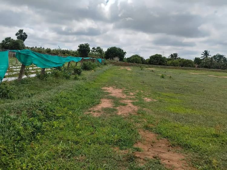 2 acre Plot
