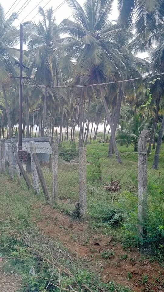 3.80 acre Plot
