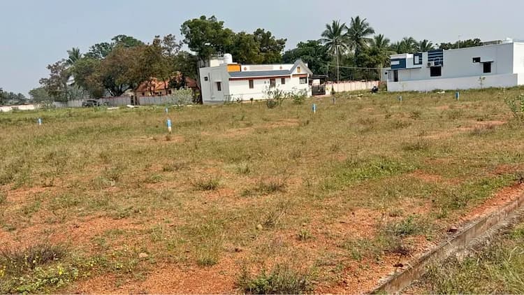 5.5 cent Plot