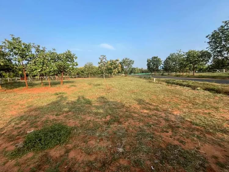 1 acre Plot