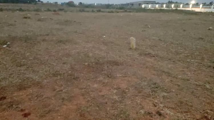 10 cent Plot