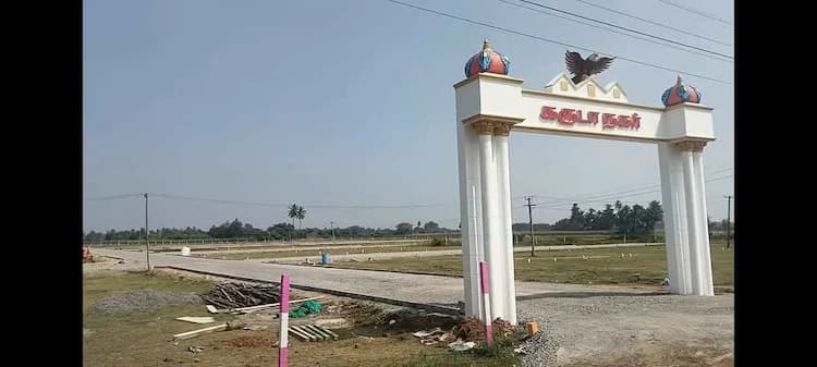 5 cent Plot