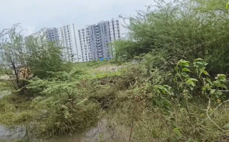 Land for sales