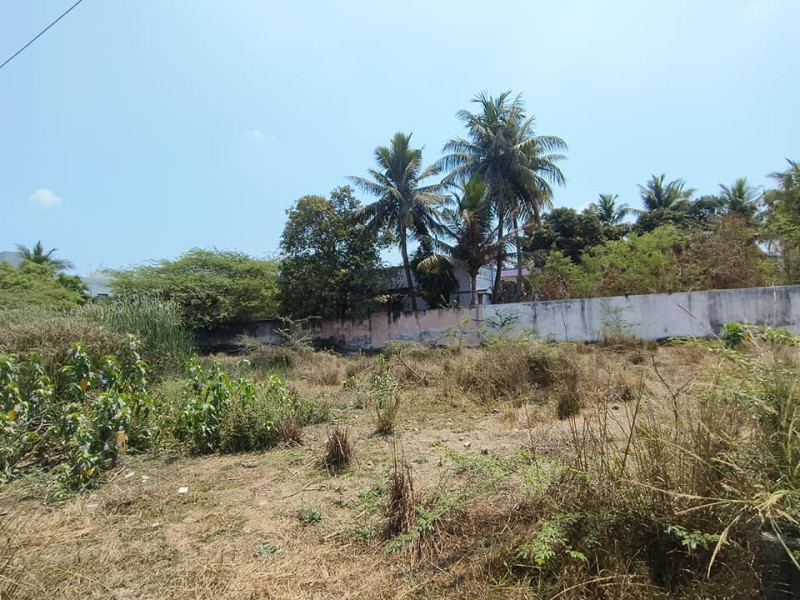 Land for sales