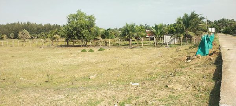 Plot sale