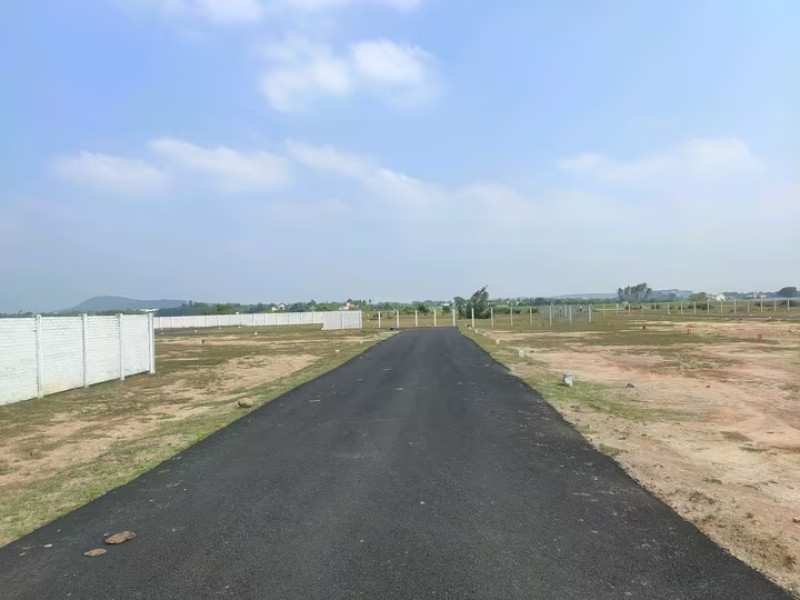 Residential Plot