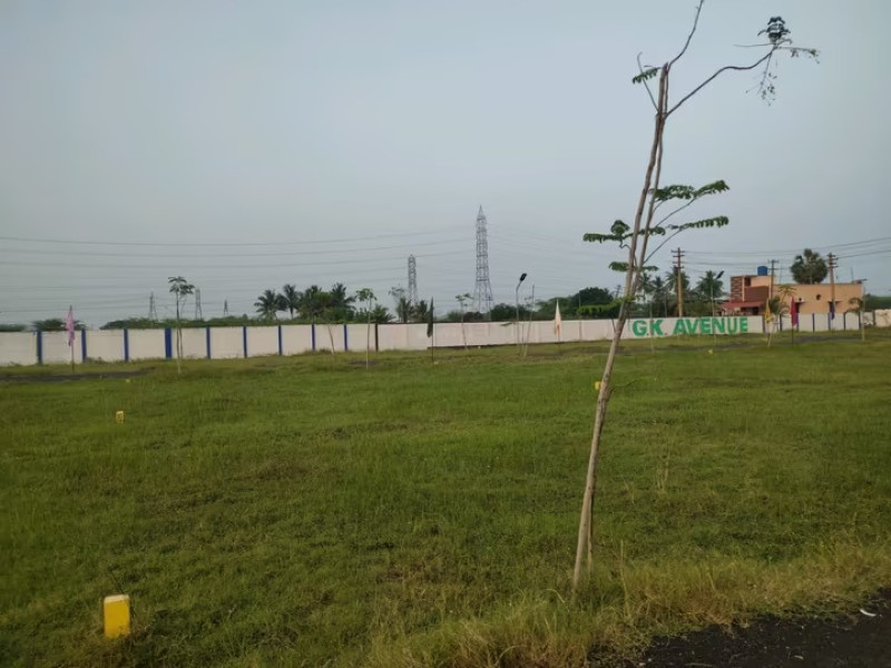Residential Plot