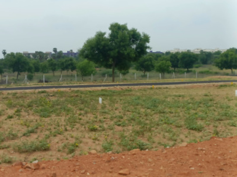 Residential Plot