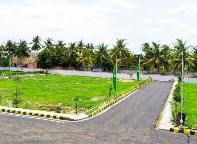 Residential Plot