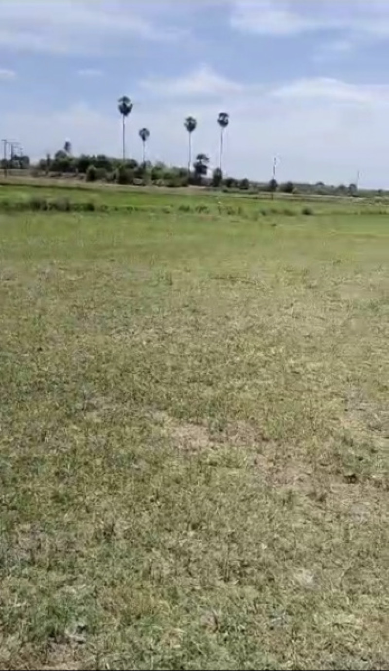 Plot sale
