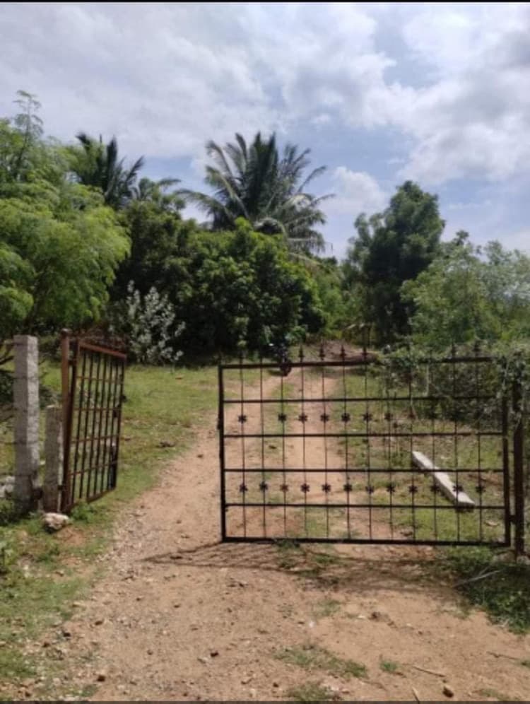 Single Property Image