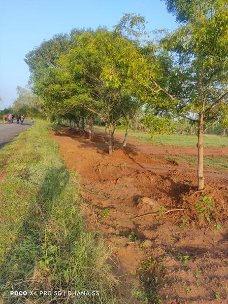 Land sale