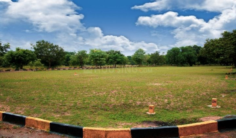 Residential Plot