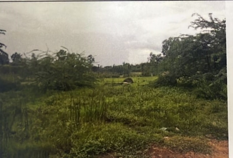 land sale