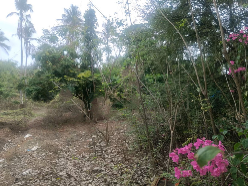 site for sale