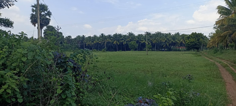 agri land for sale
