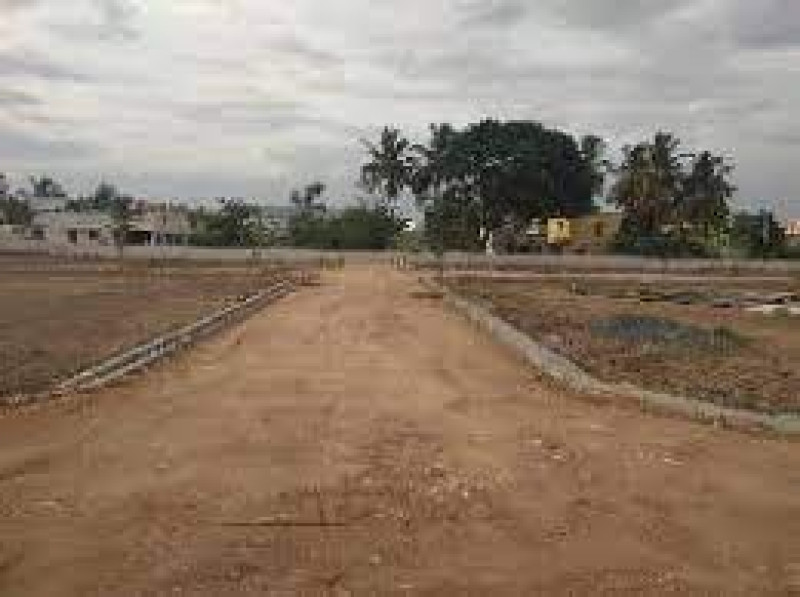 Residential Plot