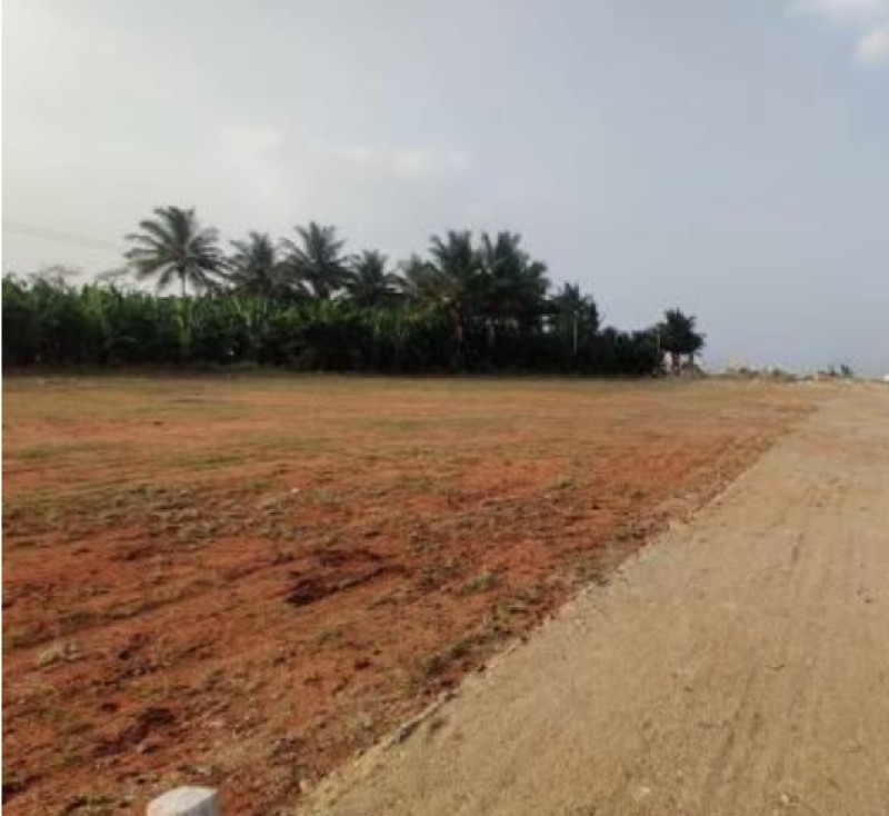 Land for Sale