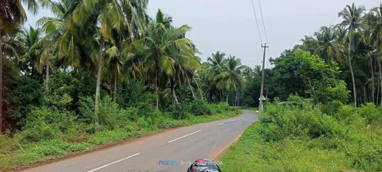 coconut fram land for sale