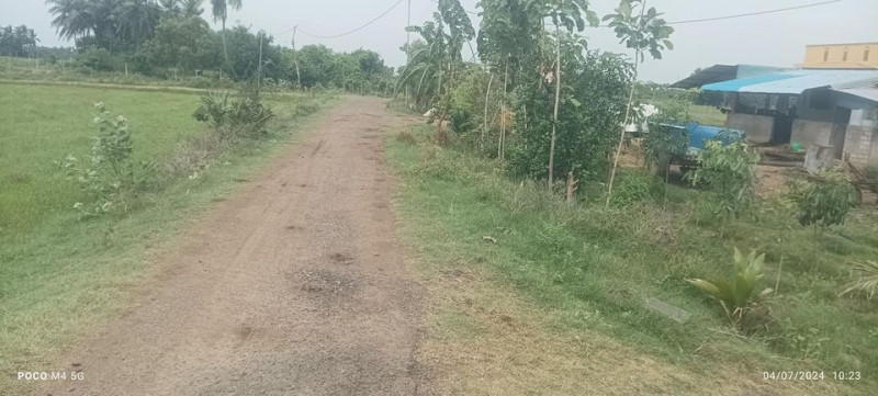 Farm land sale