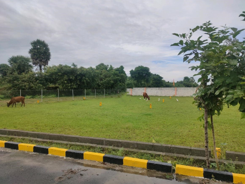 plot for sale