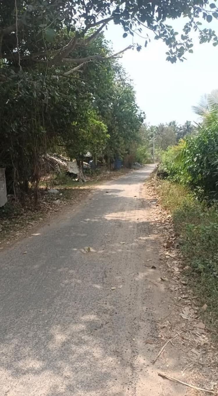 coconut farm land for sale