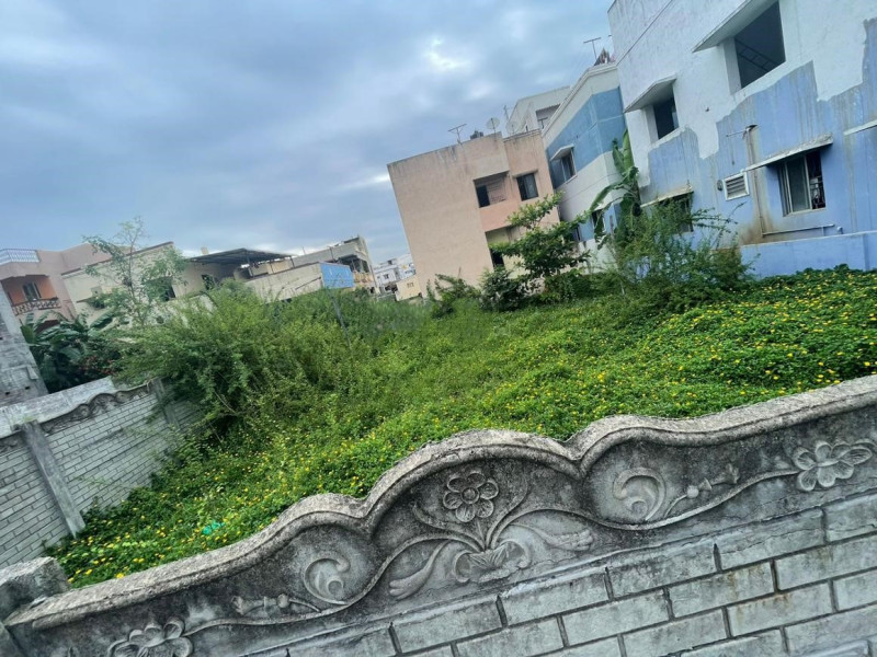 site for sale