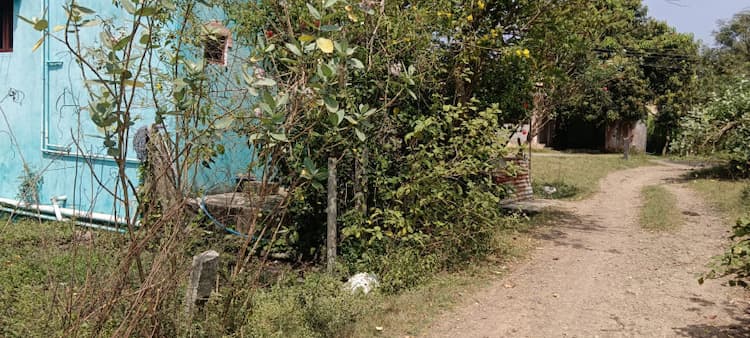 Single Property Image