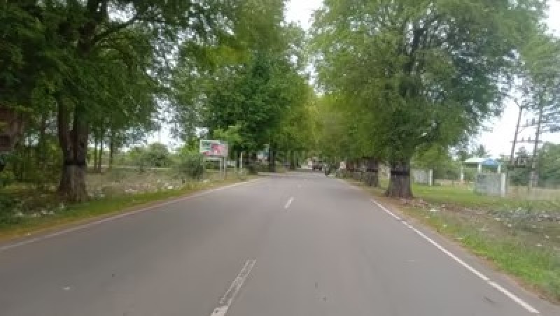 Residential Plot
