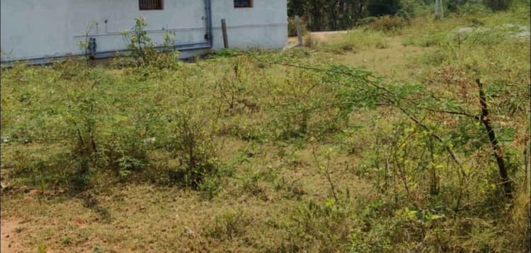 3.78 cent plot for sale