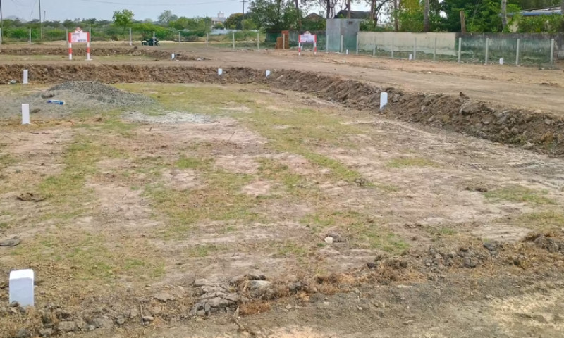 Land for sales