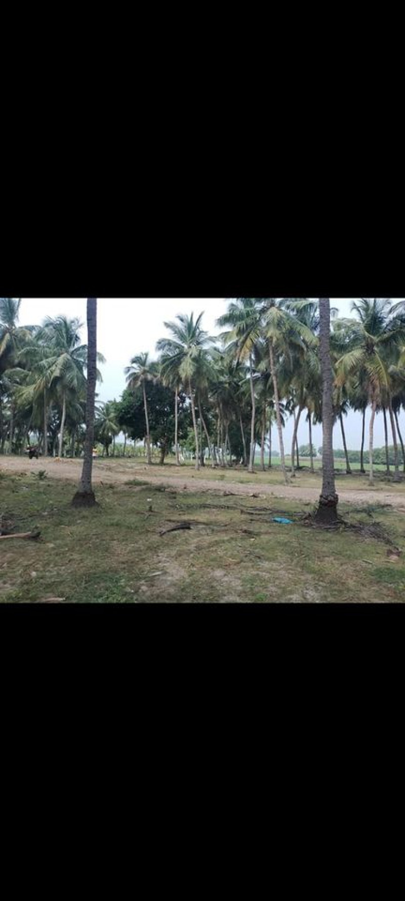 Land sale