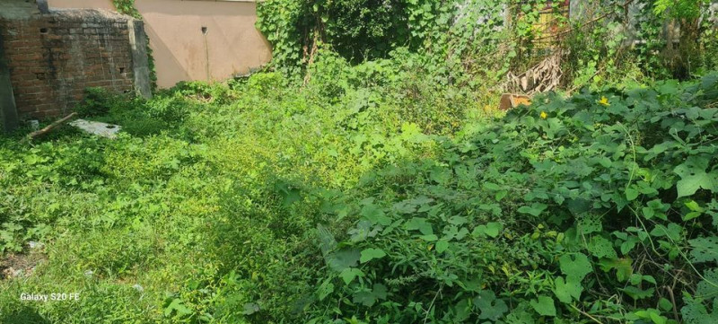 land sale