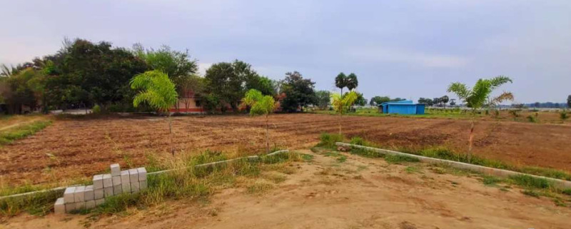 Agriculture Land for Sale
