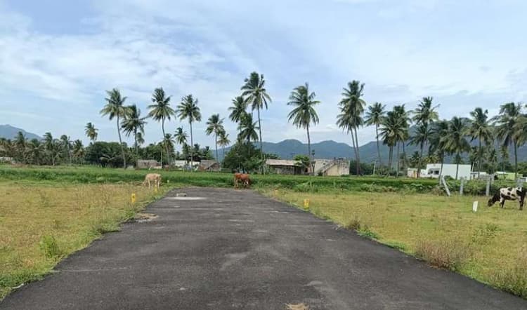 Single Property Image