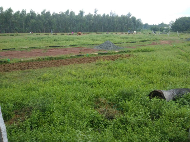Land for sales