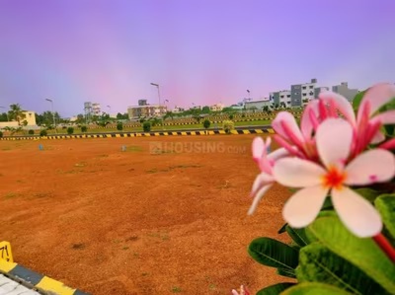 Residential Plot