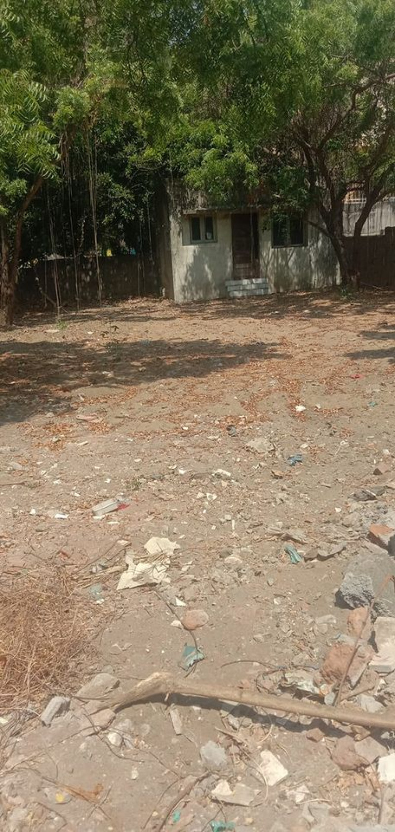 Land for sales