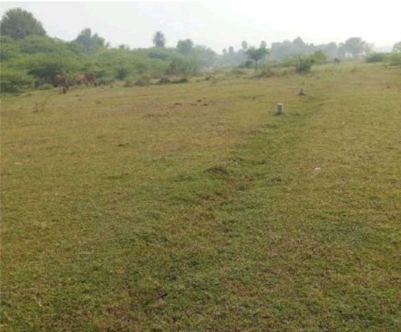 Land for sale