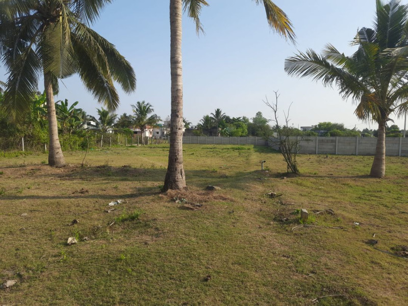 Land for sales