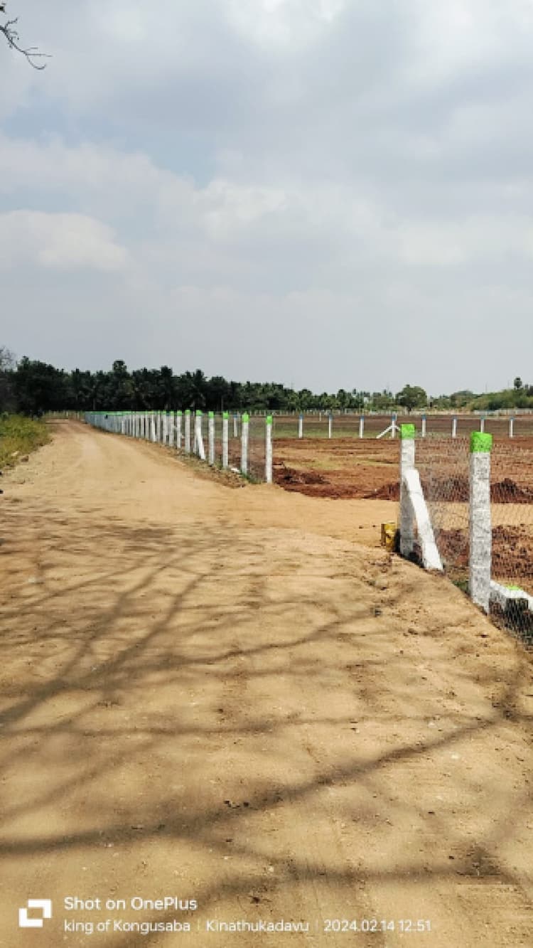Agricultural Land 10890 Sq.ft. for Sale in Kinathukadavu, Coimbatore