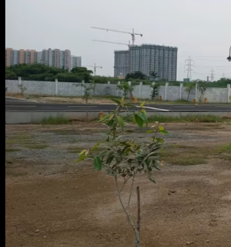 plot for sale